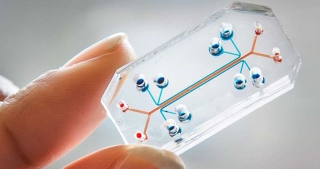 Illustration for article titled Forgery Is Getting So Good That Scientists Had to Invent Keys Made From DNA